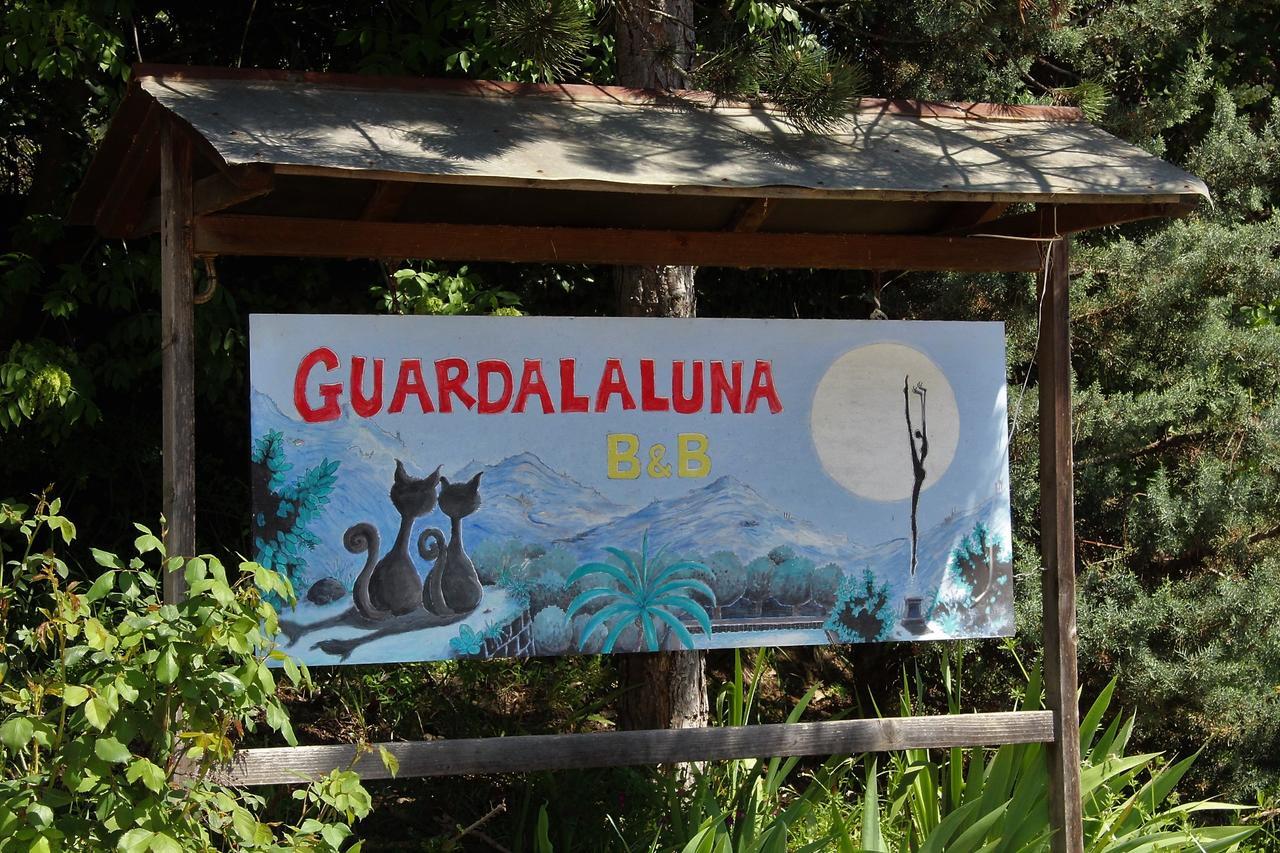 הוילה Pian di Scò Guardalaluna מראה חיצוני תמונה